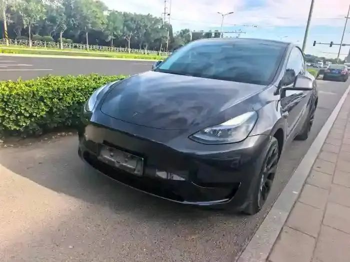 Model Y 2024 rear-wheel drive version - View 1
