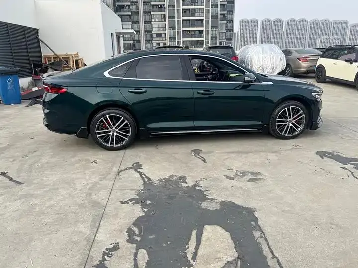 Xingrui 2023 2.0TD only this green version 19