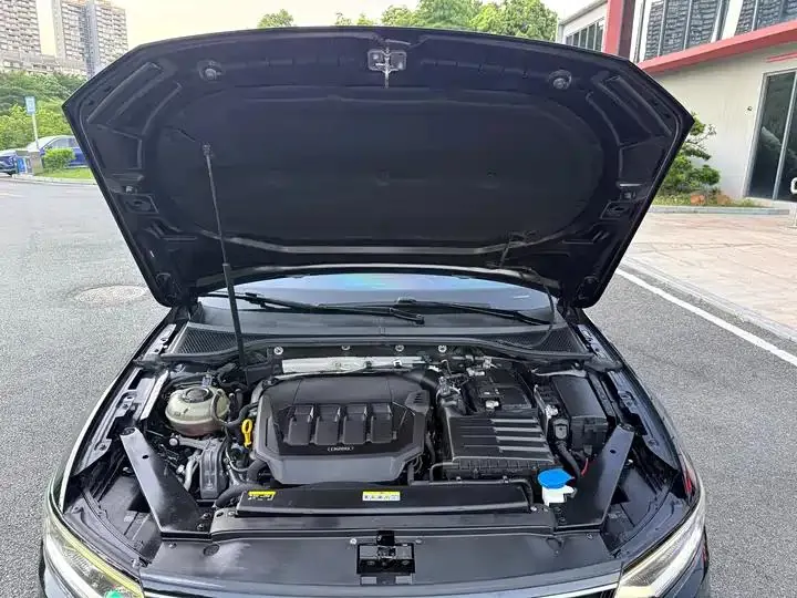 Magotan 2020 330TSI DSG Luxury Edition 31