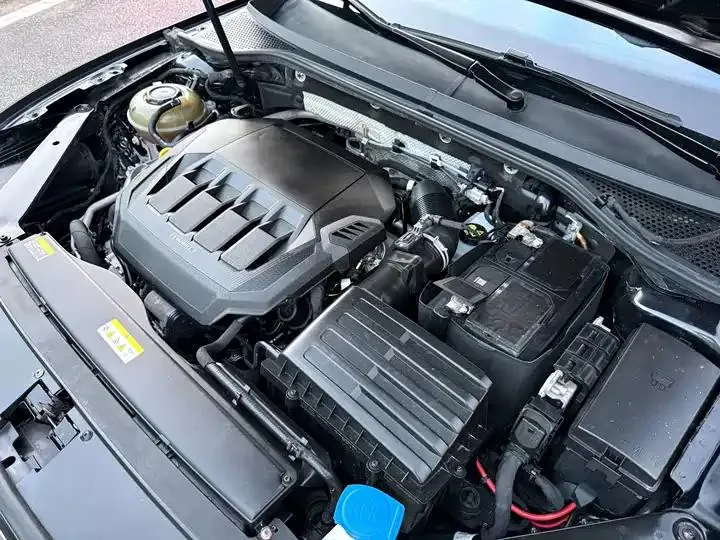 Magotan 2020 330TSI DSG Luxury Edition 33