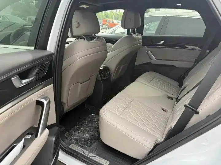 Tang New Energy 2025 Smart Driving Edition DM-i 115KM Flagship 4
