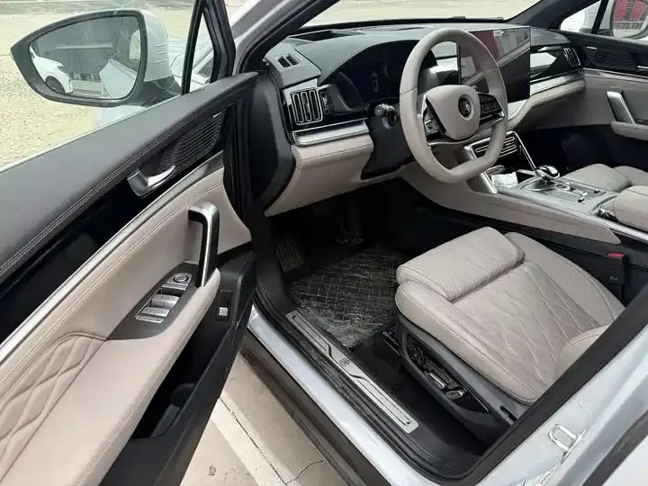 Tang New Energy 2025 Smart Driving Edition DM-i 115KM Flagship 6