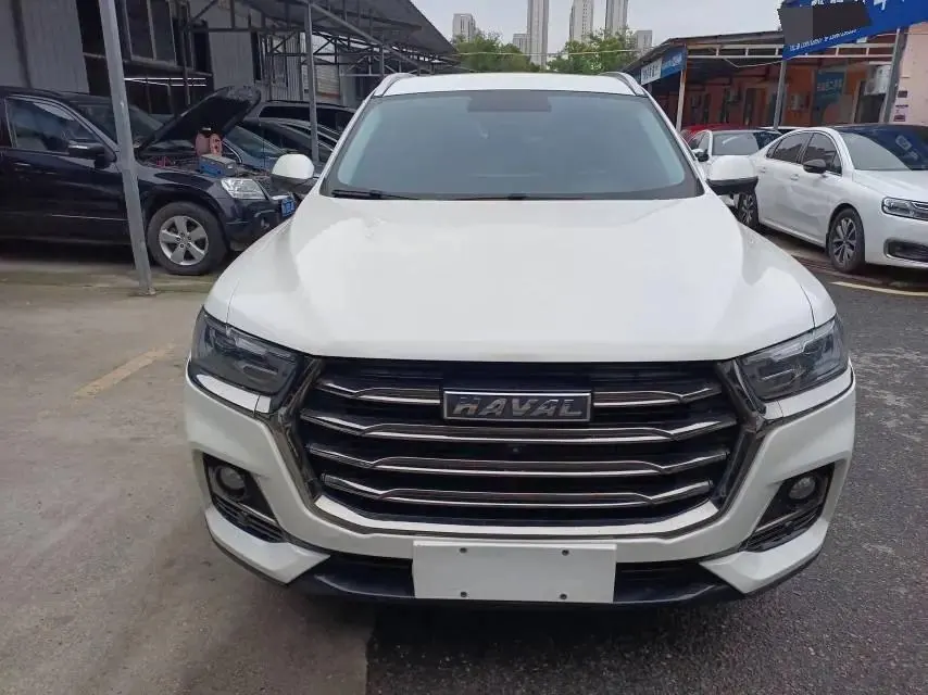 Haval 2023 H6 1.5T National Trend Edition Champion Edition Automatic 2
