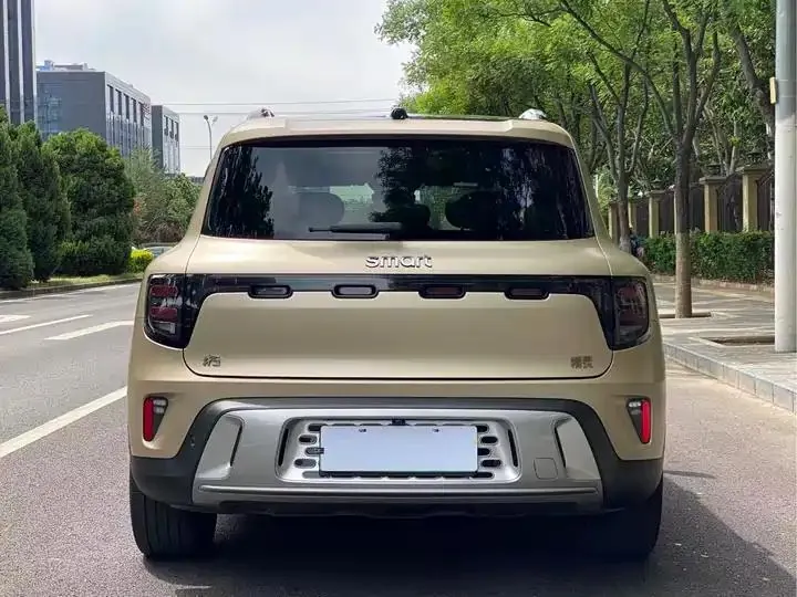 Smart Smart #5 2024 Deluxe Edition with Long Endurance 6
