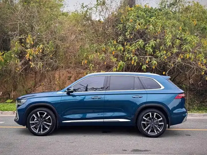 XingyueL (Monjaro) 2021 model 2.0TD DCT EVO two-wheel-drive premium version 5