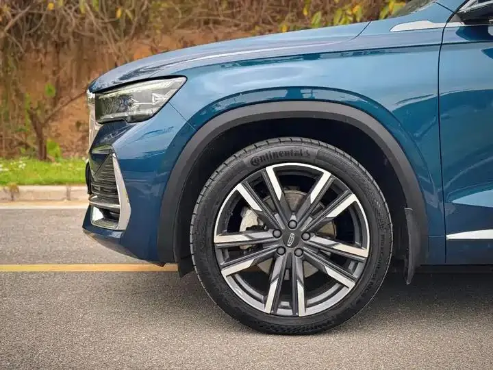 XingyueL (Monjaro) 2021 model 2.0TD DCT EVO two-wheel-drive premium version 6