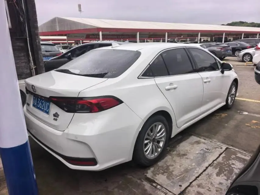 Asian Lion 2022 2.0L Elite Edition 3