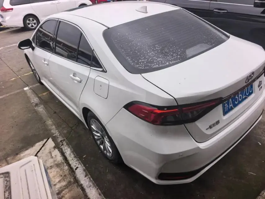 Asian Lion 2022 2.0L Elite Edition 4