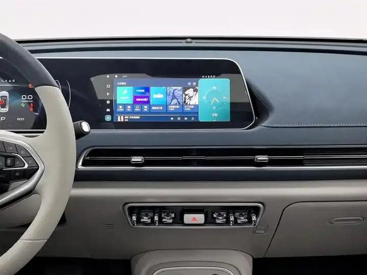 Ora good cat 2024 401km luxury model 12