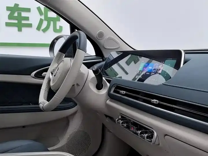 Ora good cat 2024 401km luxury model 22