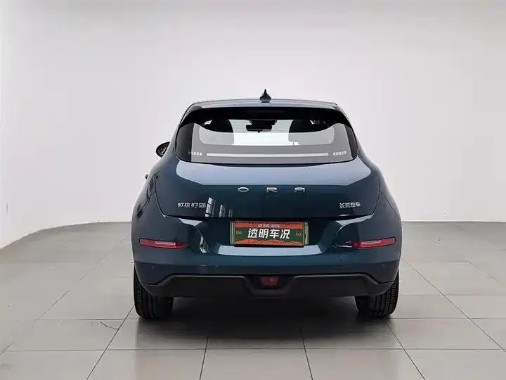 Ora good cat 2024 401km luxury model 4