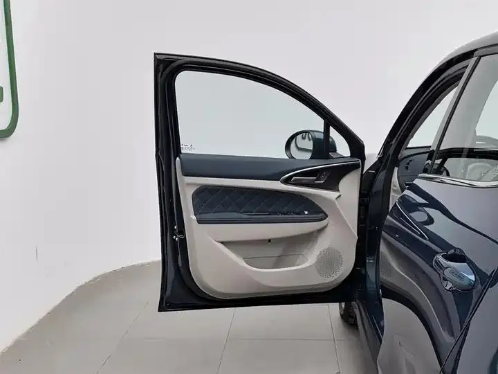 Ora good cat 2024 401km luxury model 8