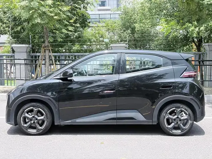 Seagull 2024 Glory Edition 405km Flying Edition 11