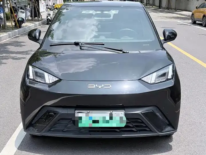 Seagull 2024 Glory Edition 405km Flying Edition 2