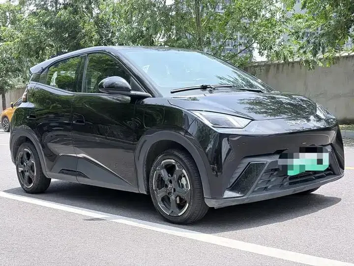 Seagull 2024 Glory Edition 405km Flying Edition 3