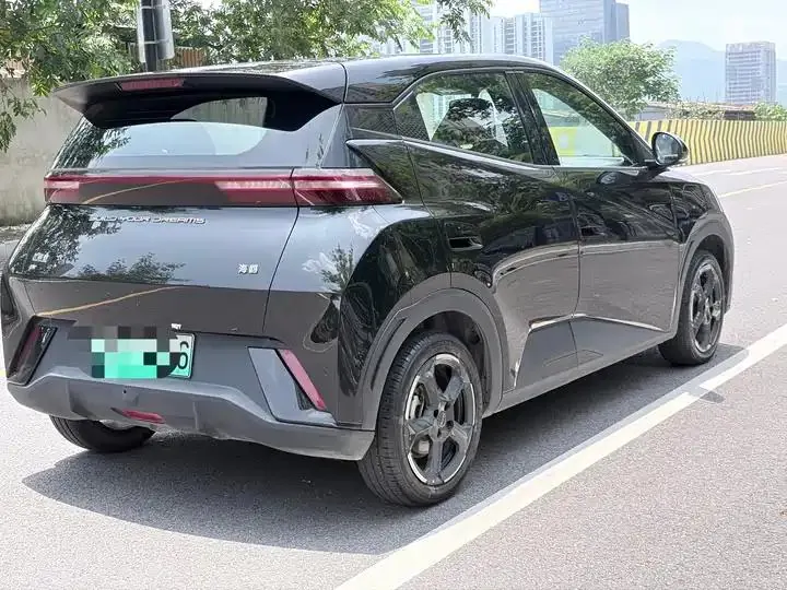 Seagull 2024 Glory Edition 405km Flying Edition 5