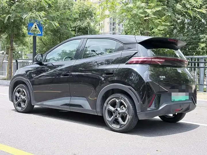 Seagull 2024 Glory Edition 405km Flying Edition 6