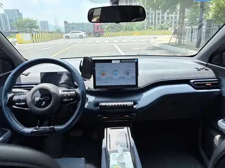 Seagull 2024 Glory Edition 405km Flying Edition 8