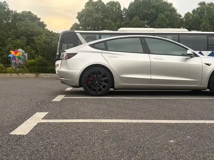 2020 Model 3 Refreshed Standard Range Rear-Wheel Drive Upgrade Version 11