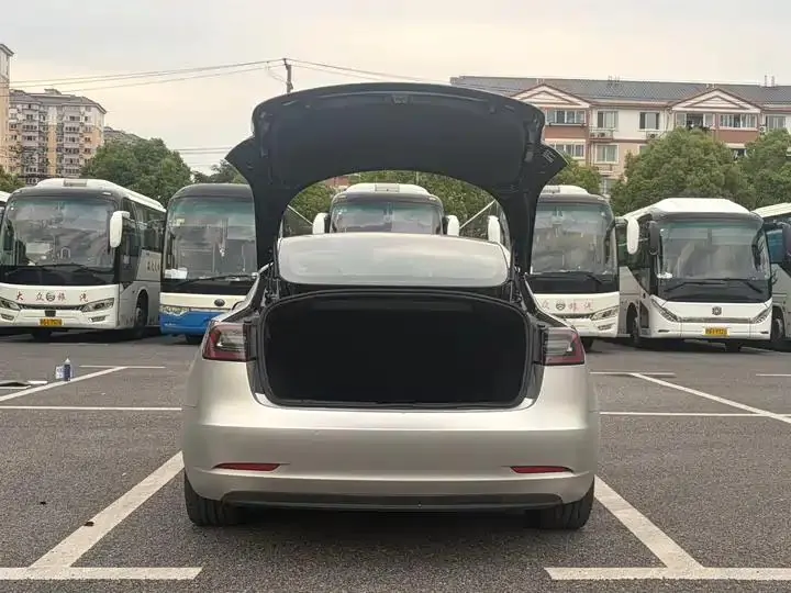 2020 Model 3 Refreshed Standard Range Rear-Wheel Drive Upgrade Version 13