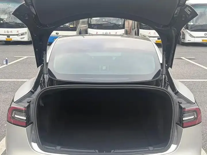 2020 Model 3 Refreshed Standard Range Rear-Wheel Drive Upgrade Version 14
