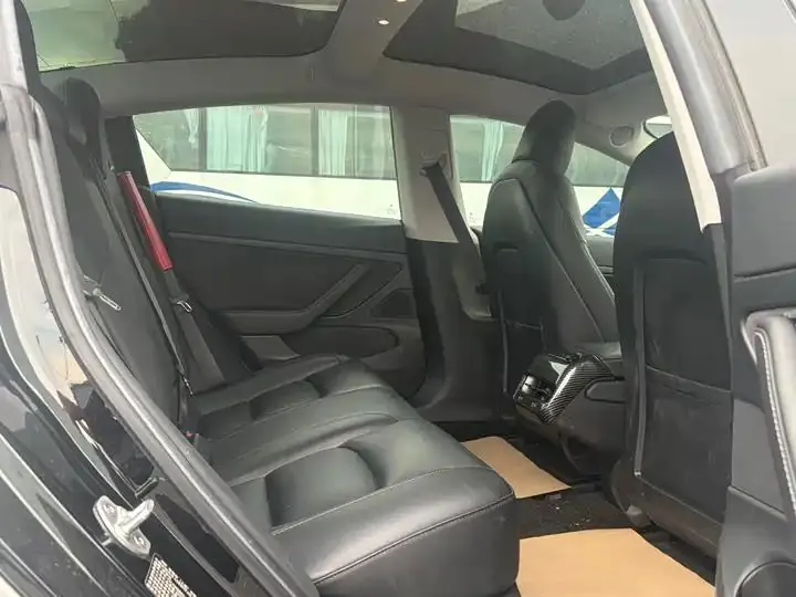 2020 Model 3 Refreshed Standard Range Rear-Wheel Drive Upgrade Version 21