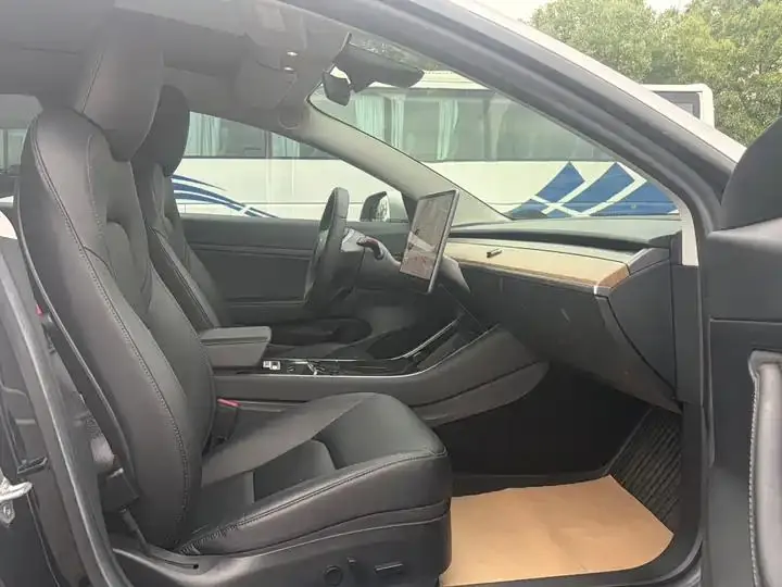 2020 Model 3 Refreshed Standard Range Rear-Wheel Drive Upgrade Version 22