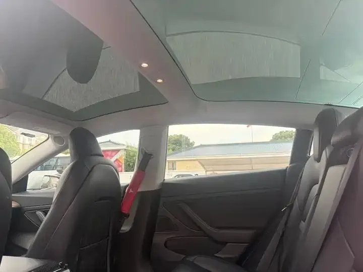 2020 Model 3 Refreshed Standard Range Rear-Wheel Drive Upgrade Version 23