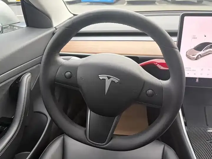 2020 Model 3 Refreshed Standard Range Rear-Wheel Drive Upgrade Version 25
