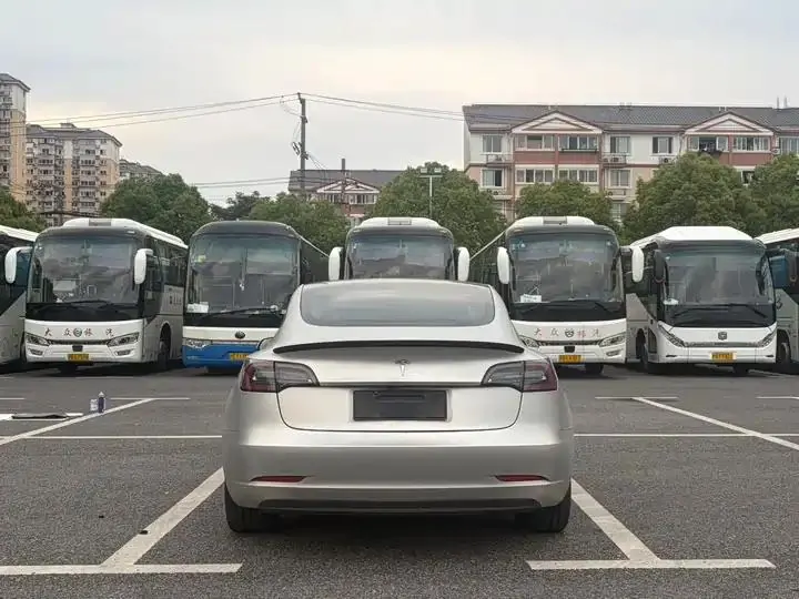 2020 Model 3 Refreshed Standard Range Rear-Wheel Drive Upgrade Version 6