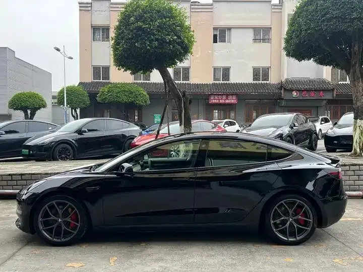 Model 3 2021 Performance high-performance all-wheel drive 4