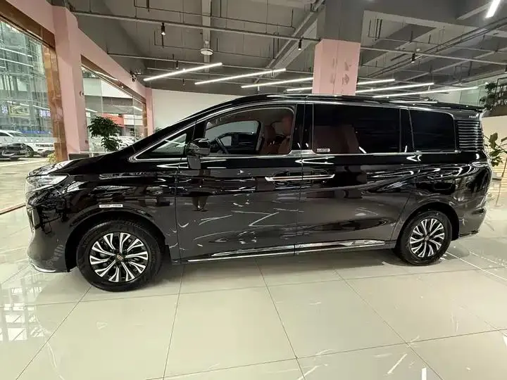 HongQi HQ9 PHEV 2024 2.0T 4WD Business Edition 3