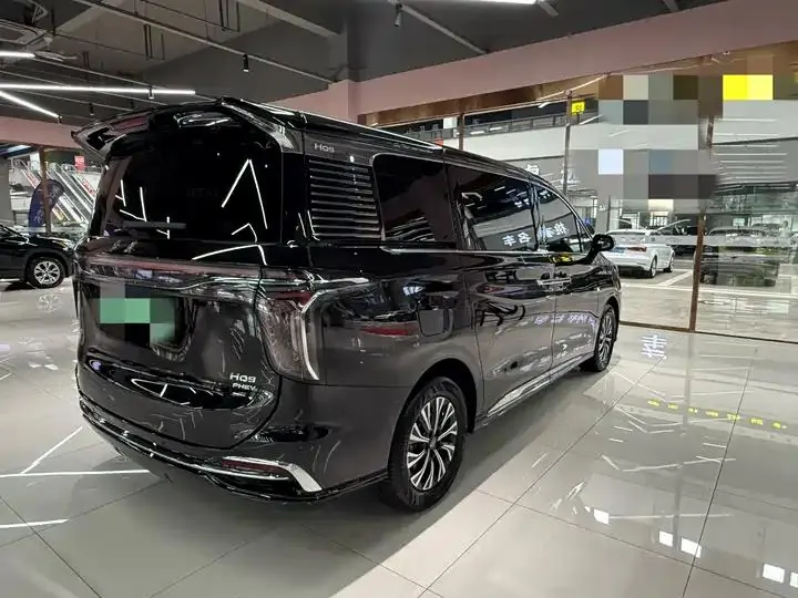 HongQi HQ9 PHEV 2024 2.0T 4WD Business Edition 9