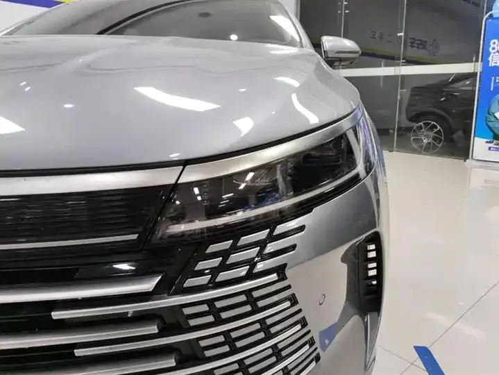 Destroyer 05 2024 Glory Edition DM-i 120KM Honor Model 5