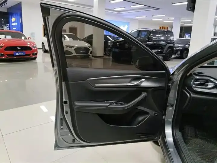 Destroyer 05 2024 Glory Edition DM-i 120KM Honor Model 7