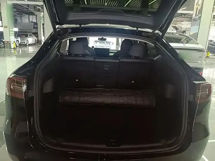 Model Y 2021 Long Life All-Wheel Drive 3D7 19
