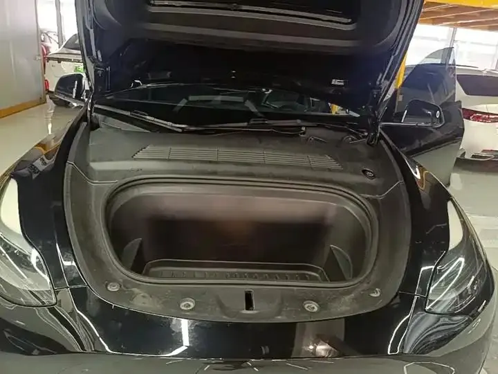 Model Y 2021 Long Life All-Wheel Drive 3D7 20