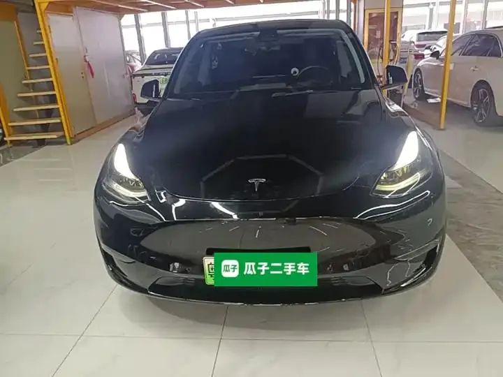 Model Y 2021 Long Life All-Wheel Drive 3D7 3