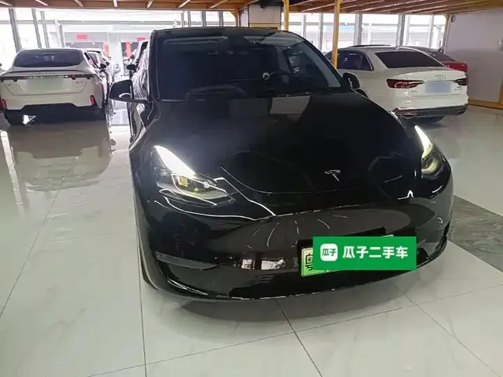Model Y 2021 Long Life All-Wheel Drive 3D7 4