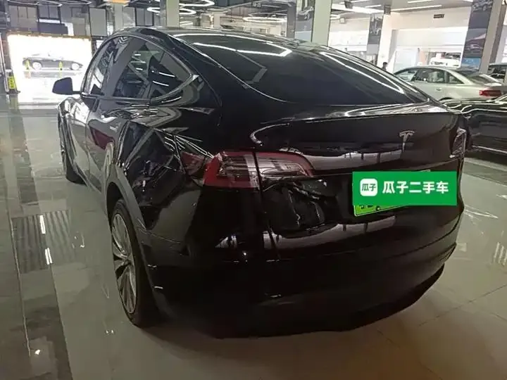 Model Y 2021 Long Life All-Wheel Drive 3D7 5