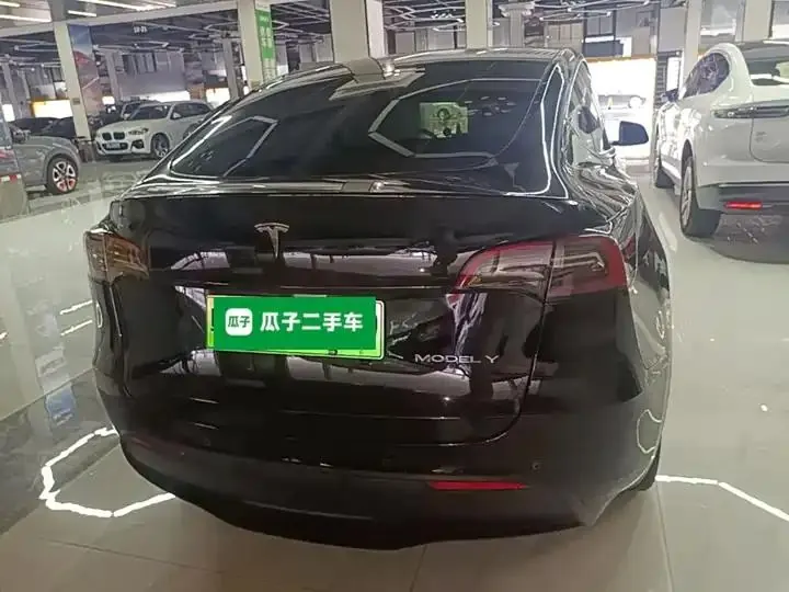 Model Y 2021 Long Life All-Wheel Drive 3D7 6