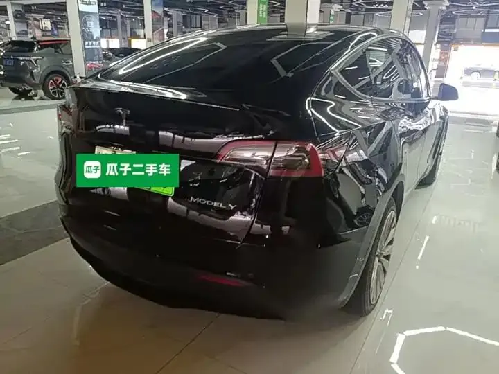 Model Y 2021 Long Life All-Wheel Drive 3D7 7
