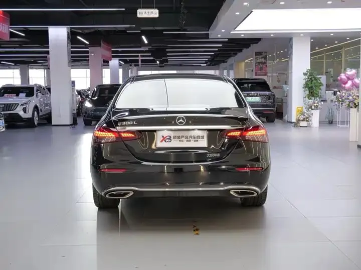 Mercedes Benz E-Class 2023 E 300 L Luxury Model 6