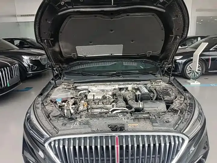 HongQi H5 2022 Classic 1.5T DCT Flag Yue Edition 20