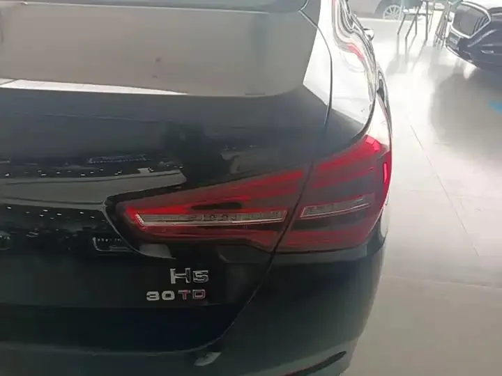 HongQi H5 2022 Classic 1.5T DCT Flag Yue Edition 8