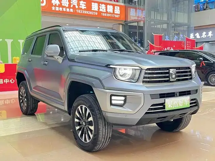 Tank 700 New Energy 2024 Model Hi4-T Ultimate Edition 10