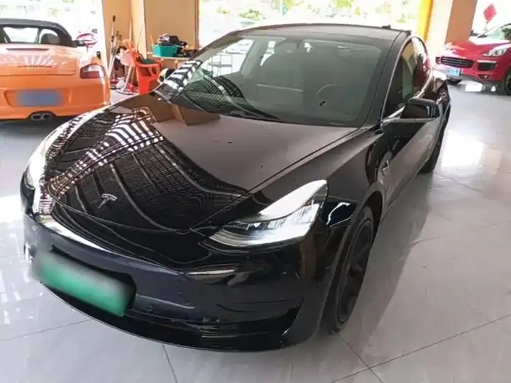 2020 Model 3 Standard Range Rear-Wheel Drive Upgrade Version - View 1