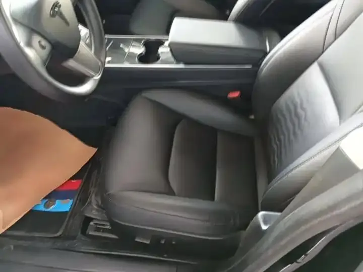 2020 Model 3 Standard Range Rear-Wheel Drive Upgrade Version 15