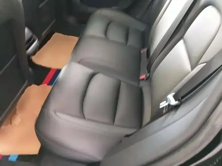 2020 Model 3 Standard Range Rear-Wheel Drive Upgrade Version 17