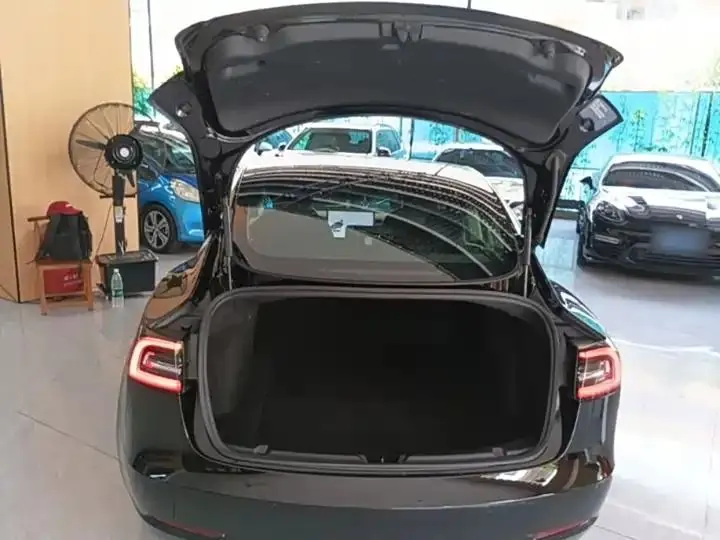 2020 Model 3 Standard Range Rear-Wheel Drive Upgrade Version 19